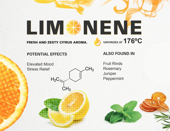 Limonene: This terpene has a citrusy aroma and is known for its uplifting and energizing effects. It is also found in other plants, such as lemons and oranges.