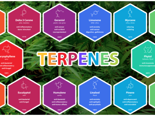 Terpenes cover