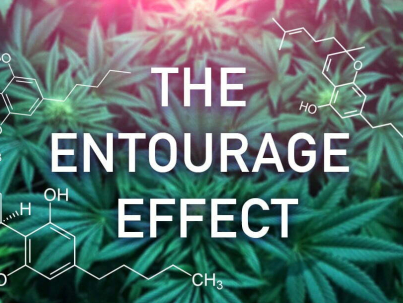 What-is-the-Entourage-Effect